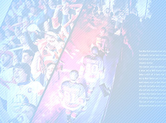 New York Islanders 2013-14 Ticket Book